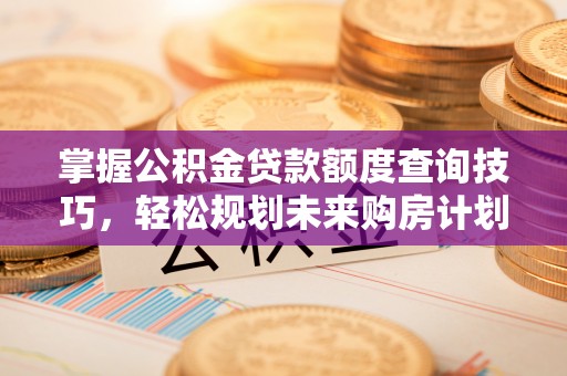 丰南掌握公积金贷款额度查询技巧，轻松规划未来购房计划