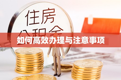 丰南如何高效办理与注意事项