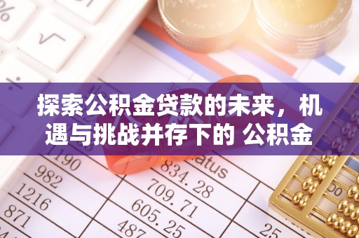 丰南探索公积金贷款的未来，机遇与挑战并存下的 公积金贷款风险防控