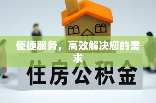 丰南便捷服务，高效解决您的需求