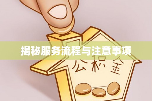 丰南揭秘服务流程与注意事项