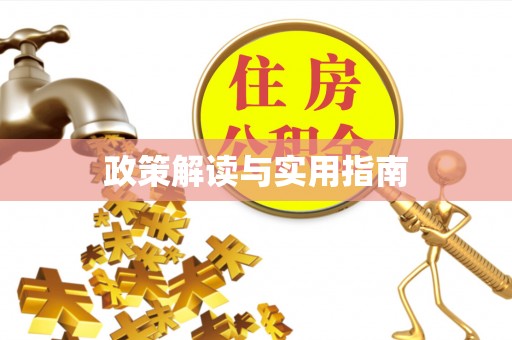 丰南政策解读与实用指南