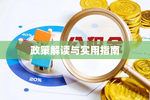 丰南政策解读与实用指南