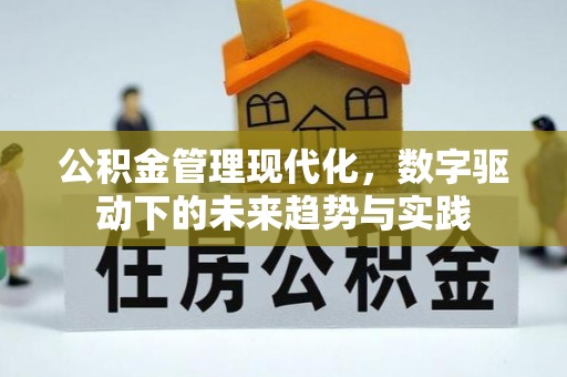 丰南公积金管理现代化，数字驱动下的未来趋势与实践