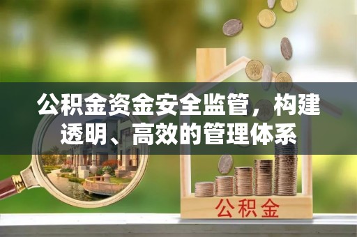 丰南公积金资金安全监管，构建透明、高效的管理体系