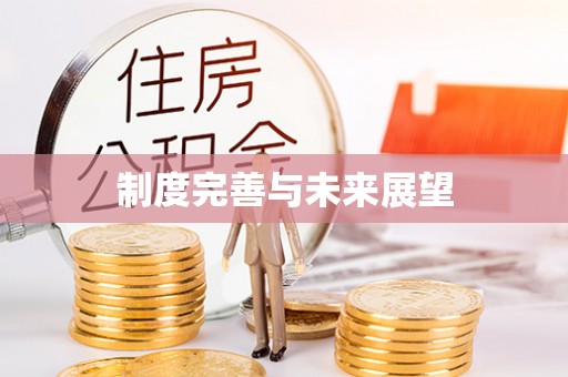 丰南制度完善与未来展望