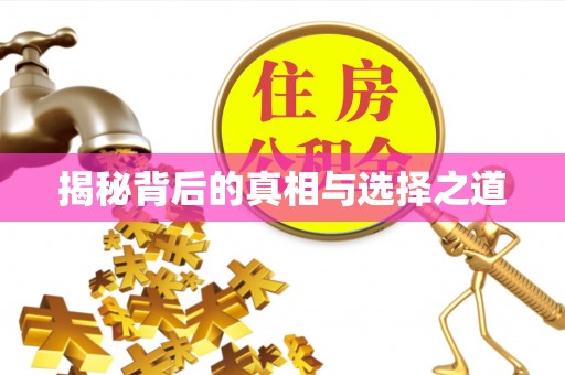 丰南揭秘背后的真相与选择之道