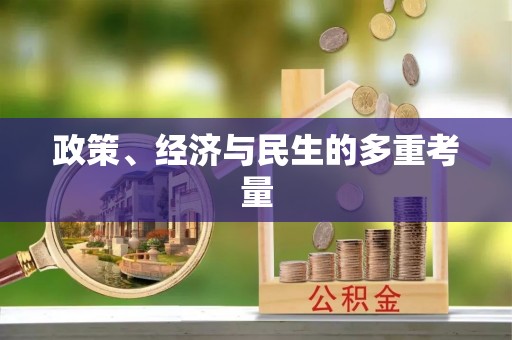 丰南政策、经济与民生的多重考量