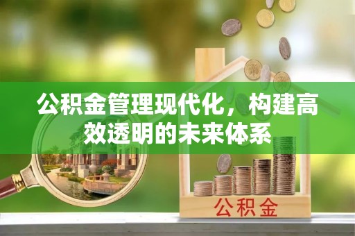 丰南公积金管理现代化，构建高效透明的未来体系