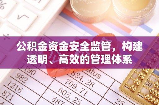 丰南公积金资金安全监管，构建透明、高效的管理体系