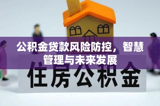 丰南公积金贷款风险防控，智慧管理与未来发展