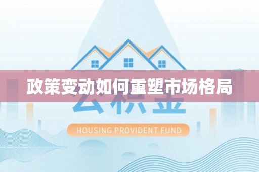丰南政策变动如何重塑市场格局