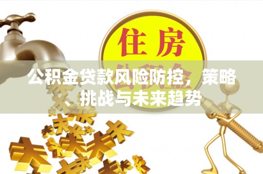 丰南公积金贷款风险防控，策略、挑战与未来趋势