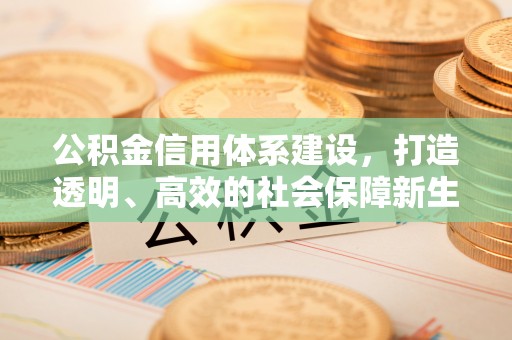 丰南公积金信用体系建设，打造透明、高效的社会保障新生态