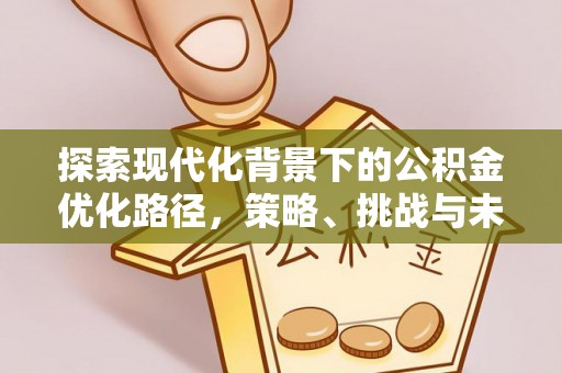 丰南探索现代化背景下的公积金优化路径，策略、挑战与未来展望