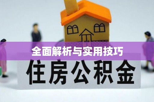 丰南全面解析与实用技巧