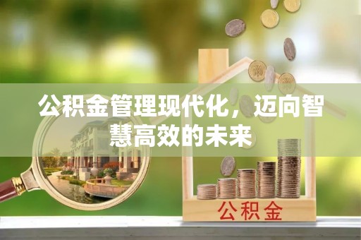 丰南公积金管理现代化，迈向智慧高效的未来