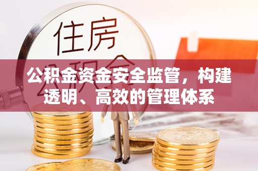 丰南公积金资金安全监管，构建透明、高效的管理体系