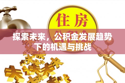 丰南探索未来，公积金发展趋势下的机遇与挑战