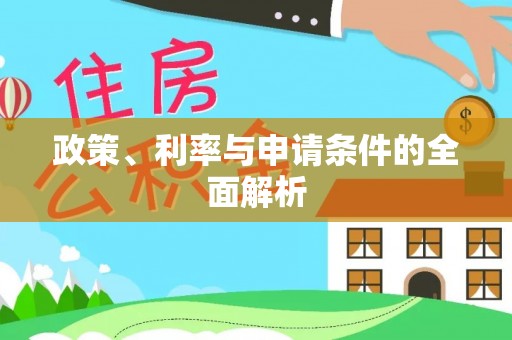 丰南政策、利率与申请条件的全面解析