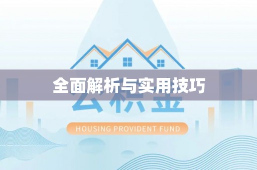 丰南全面解析与实用技巧