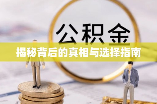 丰南揭秘背后的真相与选择指南