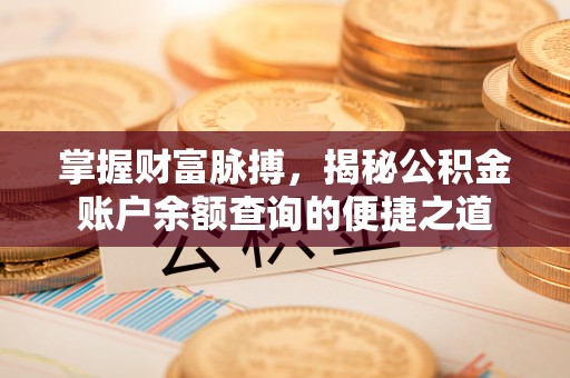 丰南掌握财富脉搏，揭秘公积金账户余额查询的便捷之道