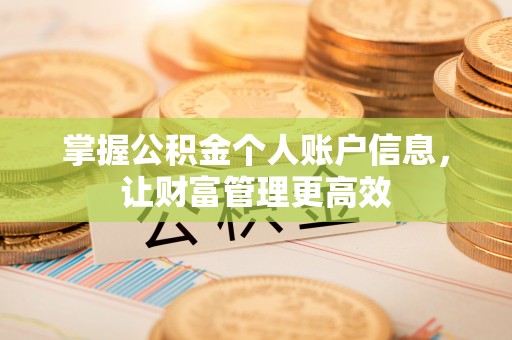 丰南掌握公积金个人账户信息，让财富管理更高效