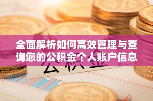 丰南全面解析如何高效管理与查询您的公积金个人账户信息