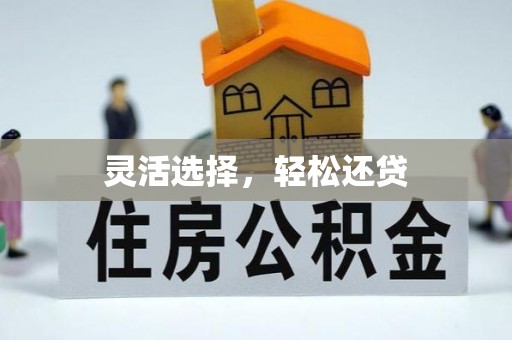 丰南灵活选择，轻松还贷