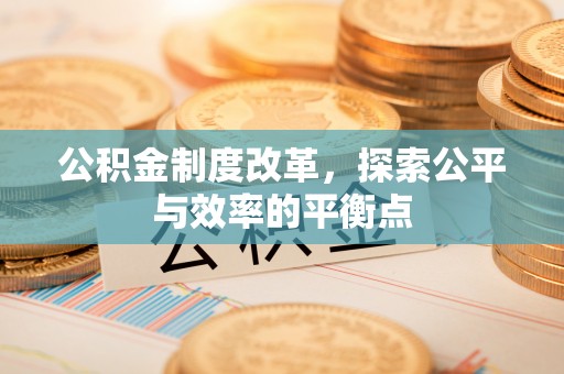 丰南公积金制度改革，探索公平与效率的平衡点