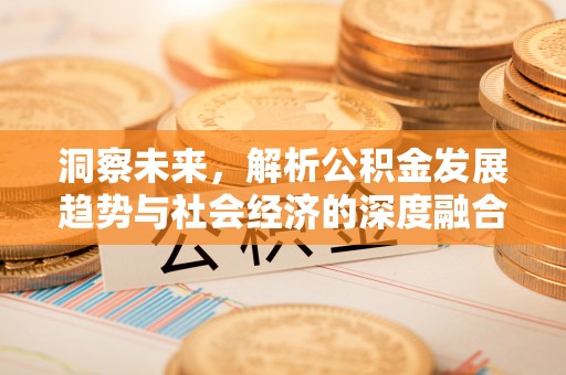 丰南洞察未来，解析公积金发展趋势与社会经济的深度融合