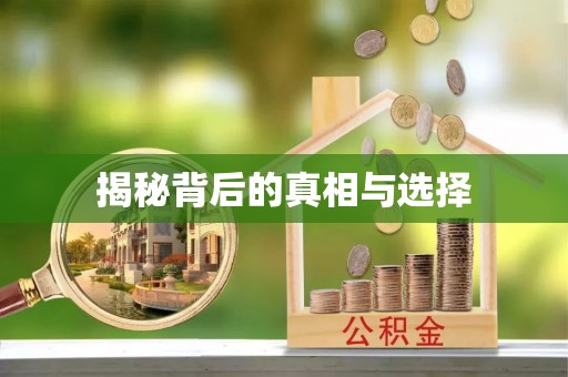 丰南揭秘背后的真相与选择