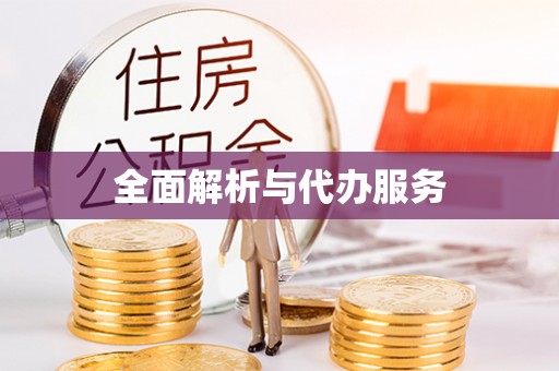 丰南全面解析与代办服务