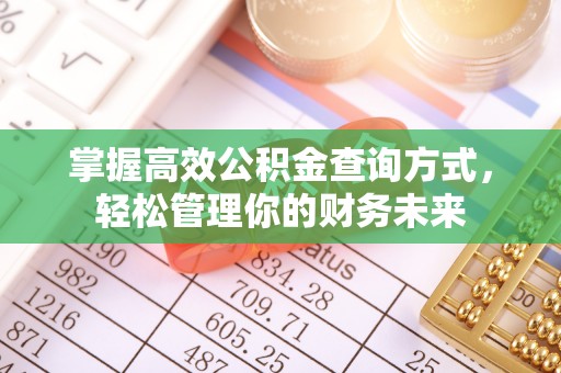 丰南掌握高效公积金查询方式，轻松管理你的财务未来