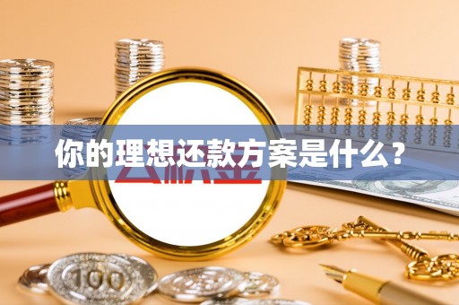 丰南你的理想还款方案是什么？