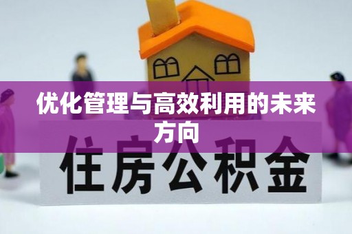 丰南优化管理与高效利用的未来方向