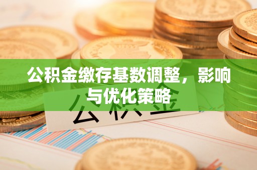 丰南公积金缴存基数调整，影响与优化策略