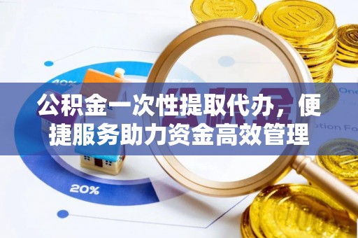 丰南公积金一次性提取代办，便捷服务助力资金高效管理