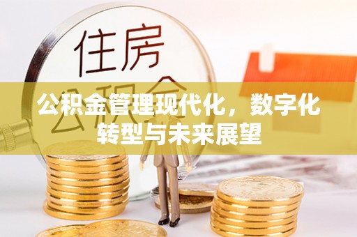 丰南公积金管理现代化，数字化转型与未来展望