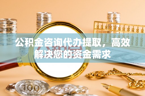 丰南公积金咨询代办提取，高效解决您的资金需求