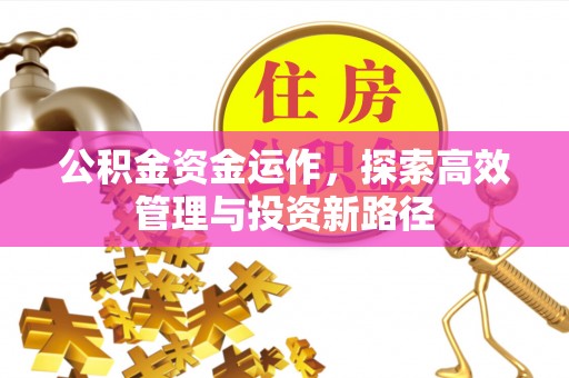 丰南公积金资金运作，探索高效管理与投资新路径