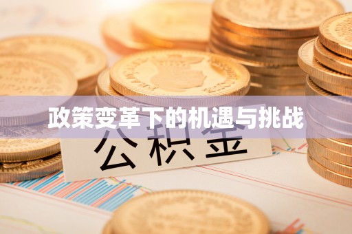 丰南政策变革下的机遇与挑战