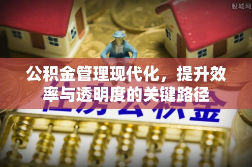丰南公积金管理现代化，提升效率与透明度的关键路径