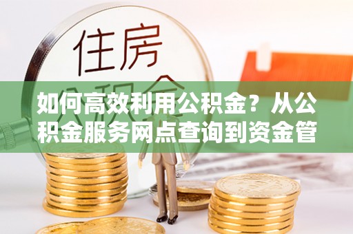 丰南如何高效利用公积金？从公积金服务网点查询到资金管理全攻略