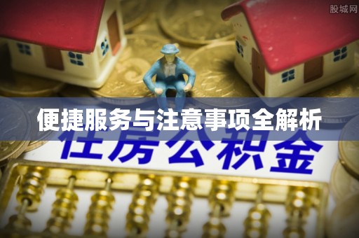 丰南便捷服务与注意事项全解析