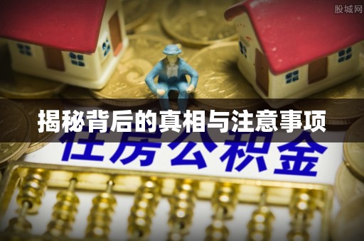 丰南揭秘背后的真相与注意事项
