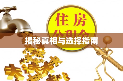 丰南揭秘真相与选择指南