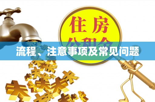 丰南流程、注意事项及常见问题