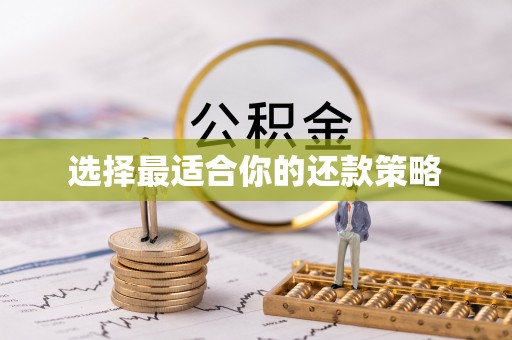 丰南选择最适合你的还款策略